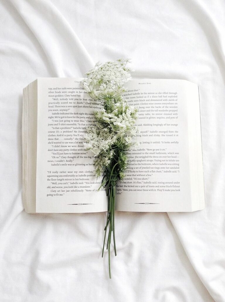 Le voyage de l'écriture : Conseils pour les femmes musulmanes qui désirent écrire leur premier livre